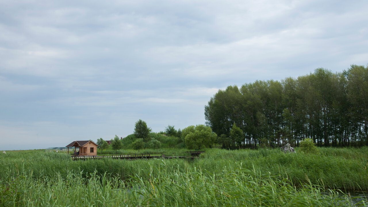 Qiqihar