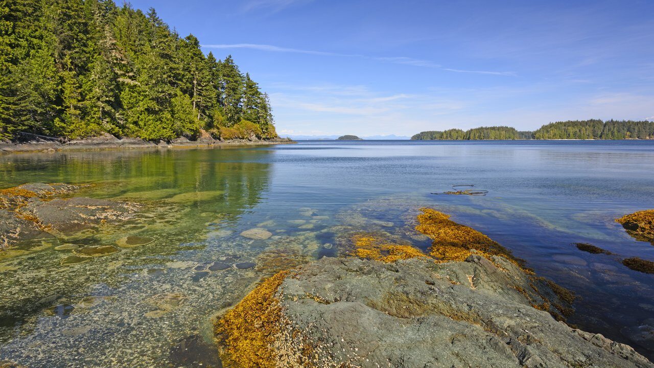 Port Hardy