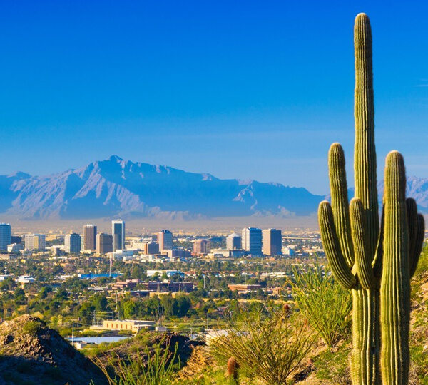 Phoenix