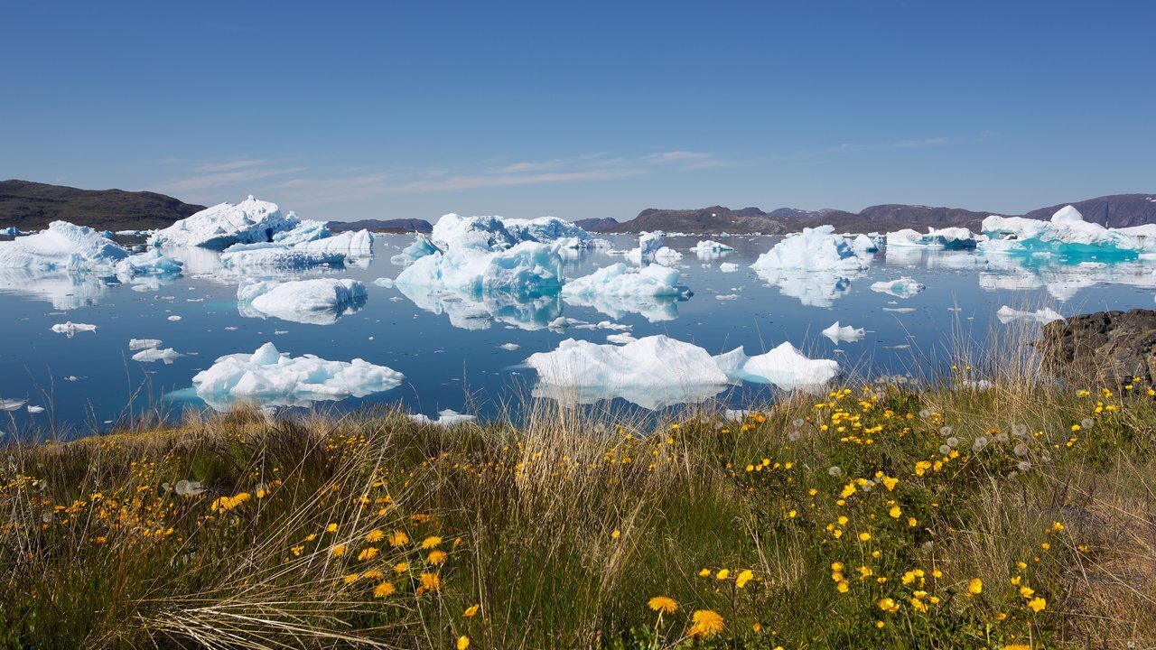 Narsaq