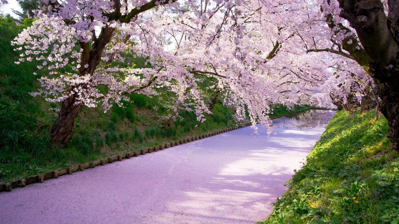 Aomori