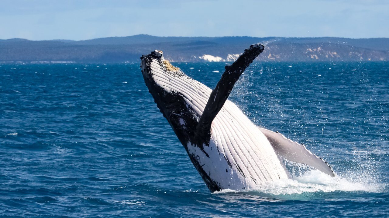 Hervey Bay