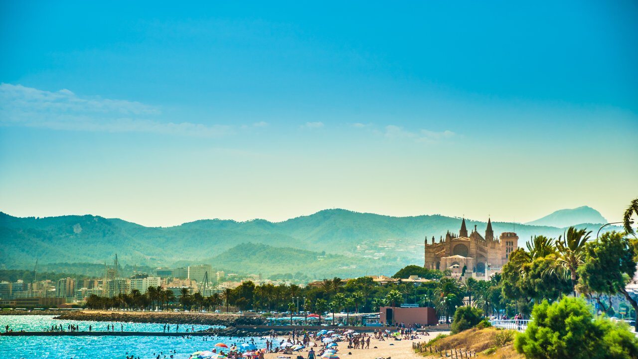 Palmas