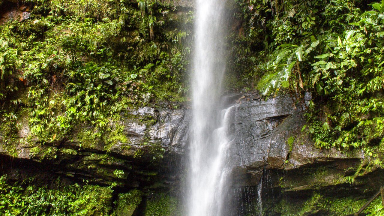 Tarapoto