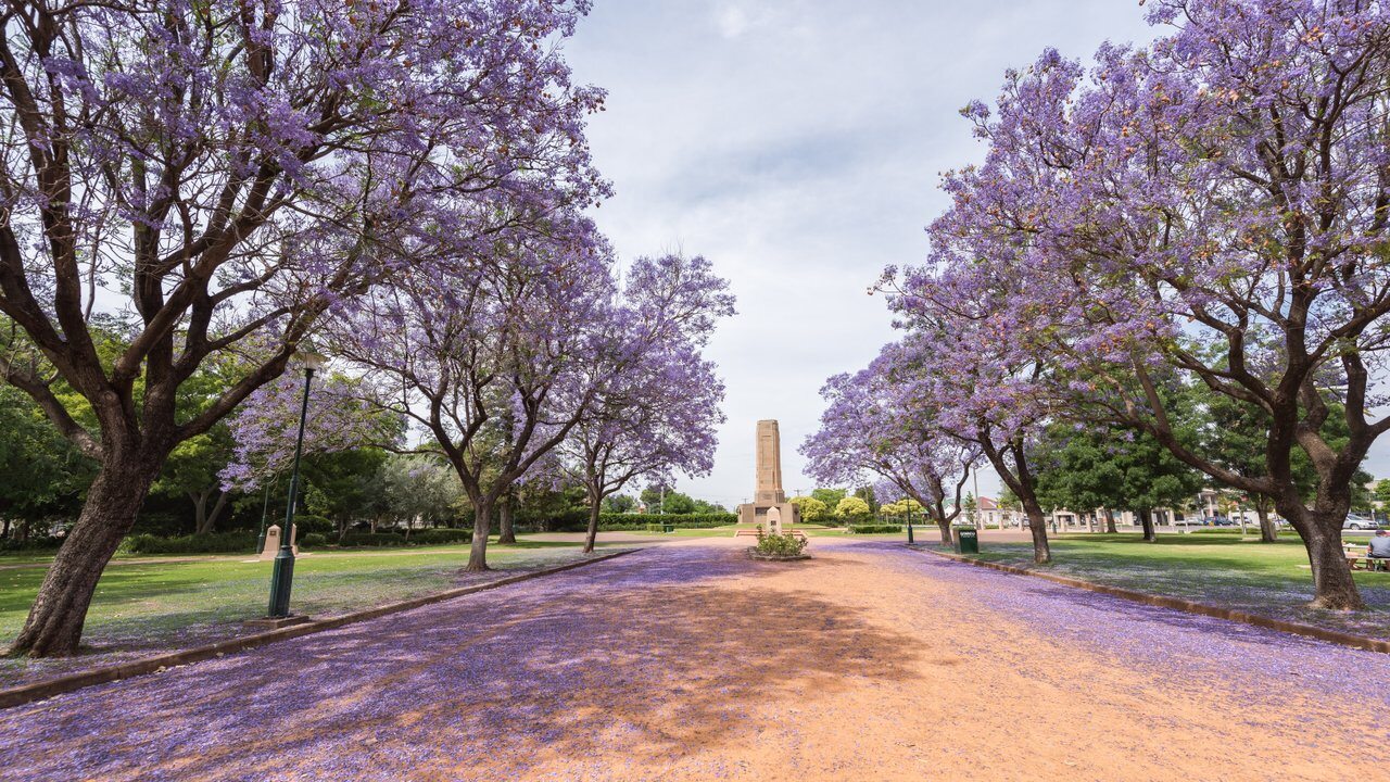 Dubbo