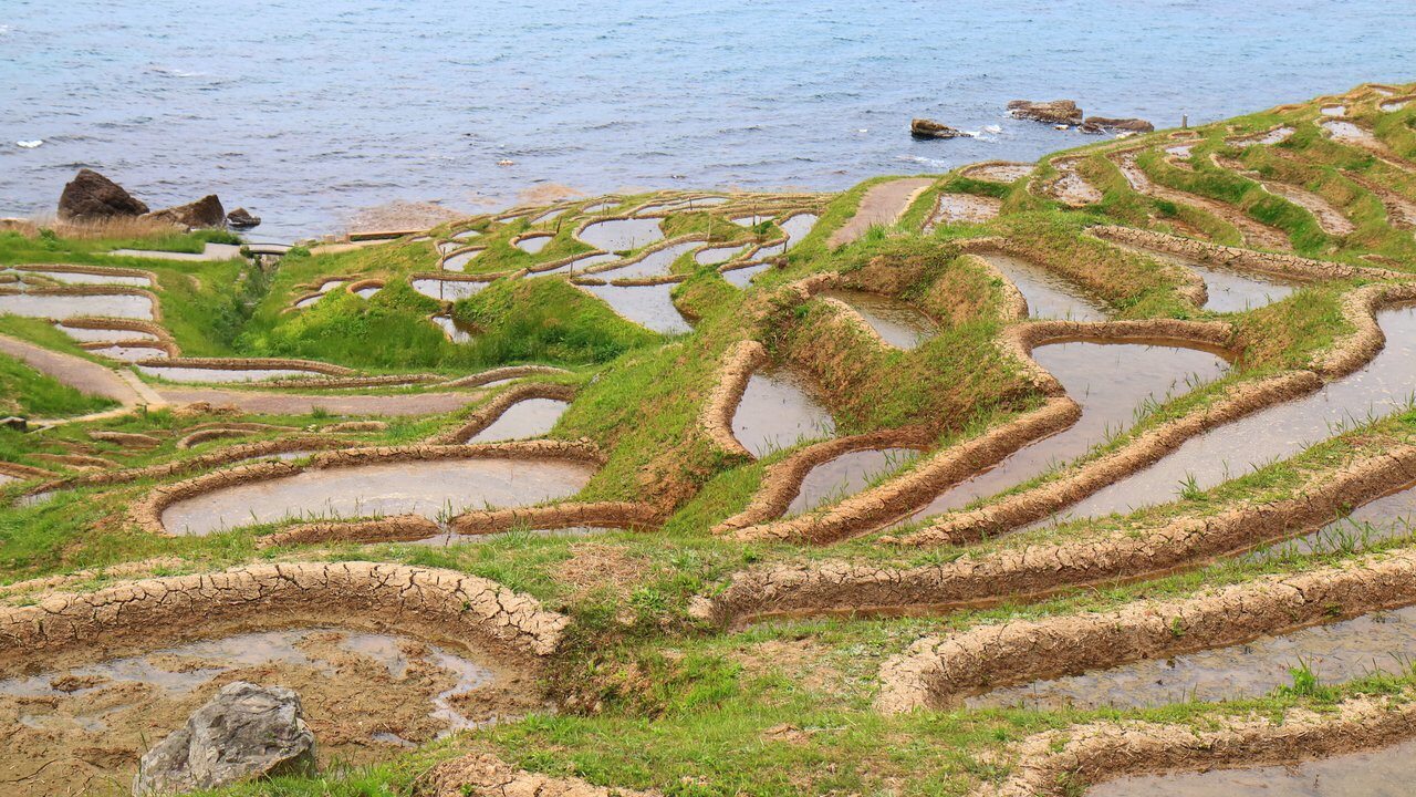 Wajima
