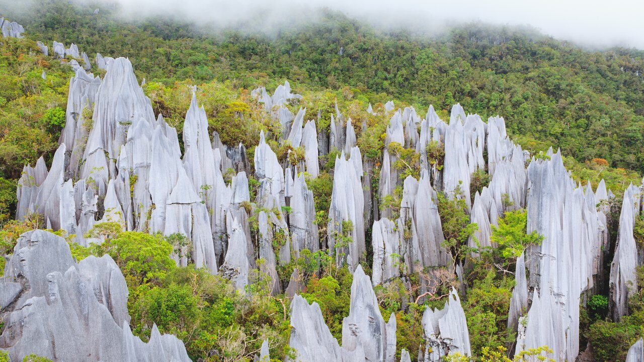 Gunung Mulu National Park