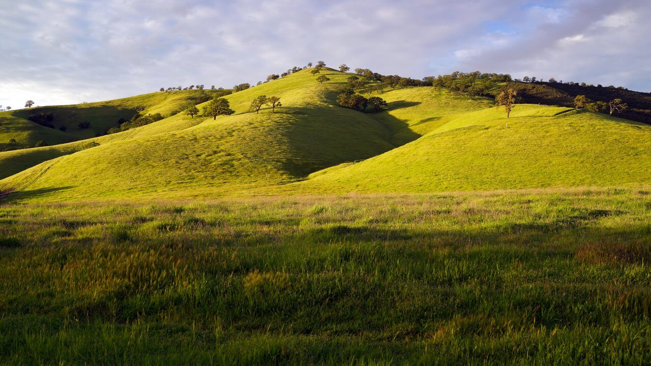 Concord