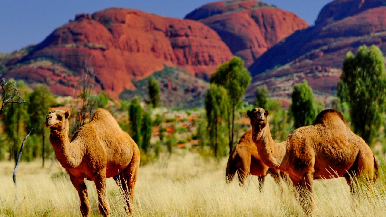 Uluru