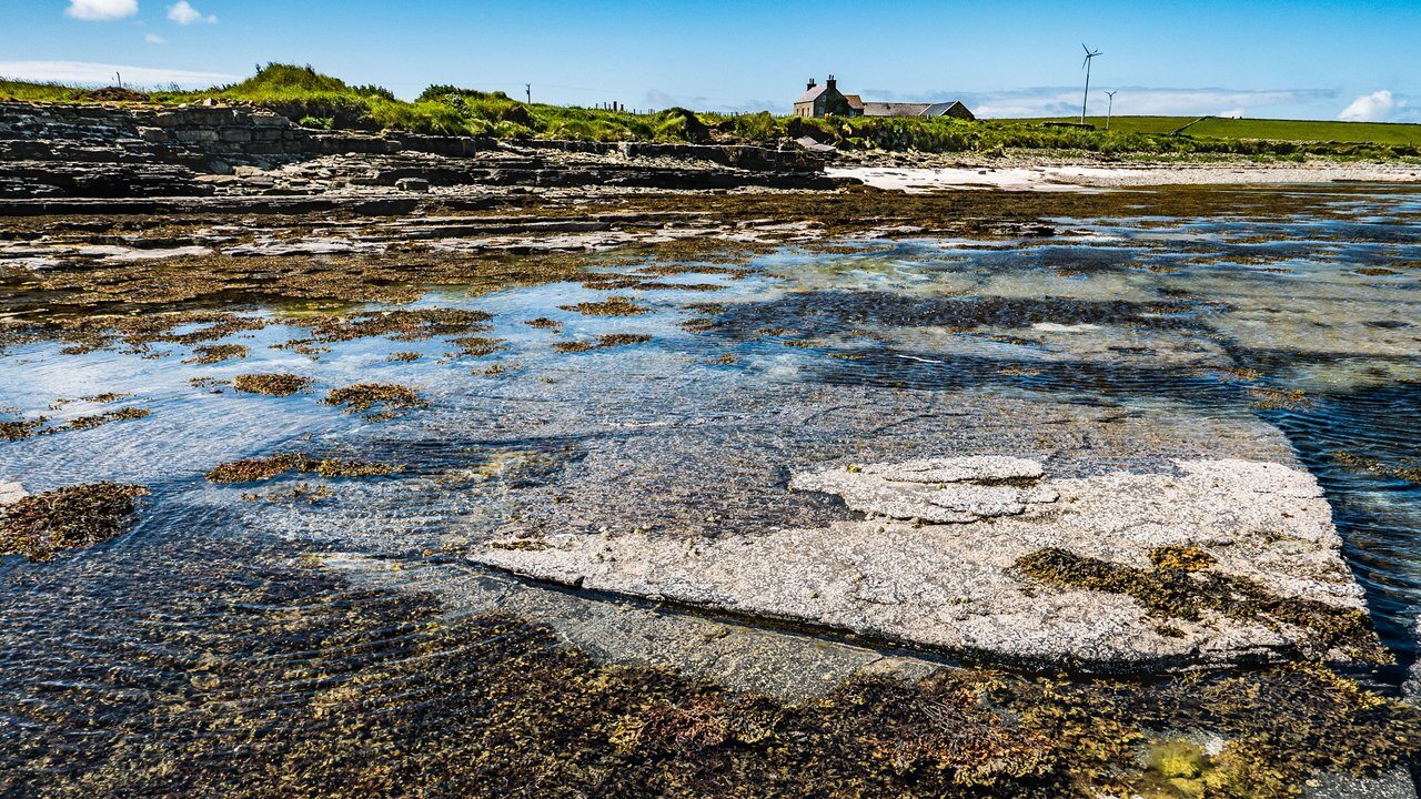 Papa Westray