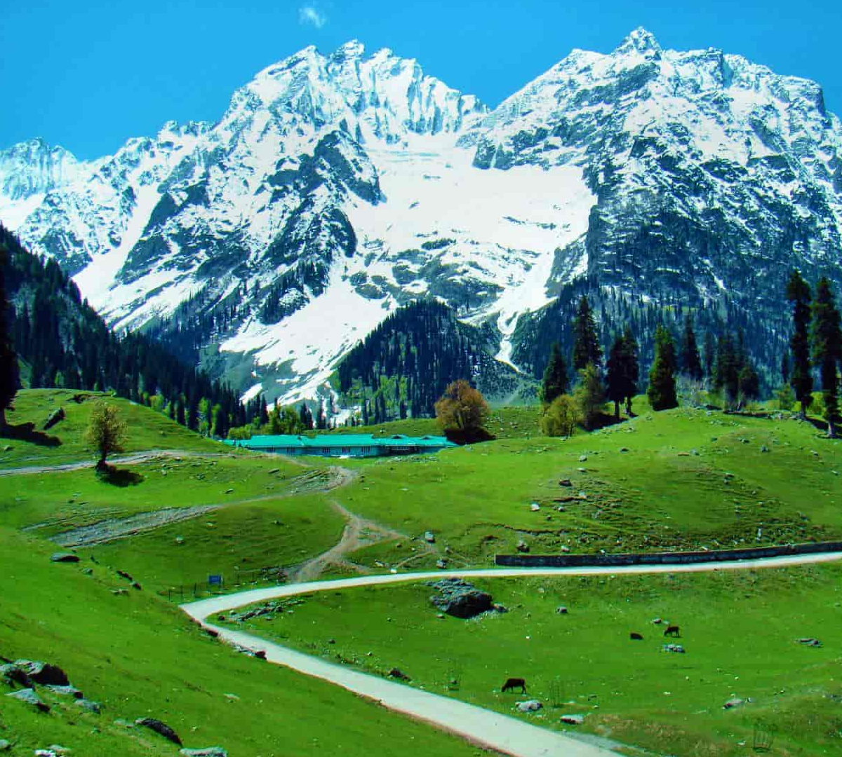 Jammu Jammu