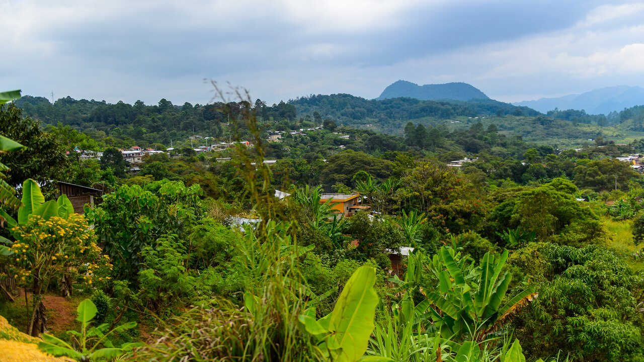 Tapachula
