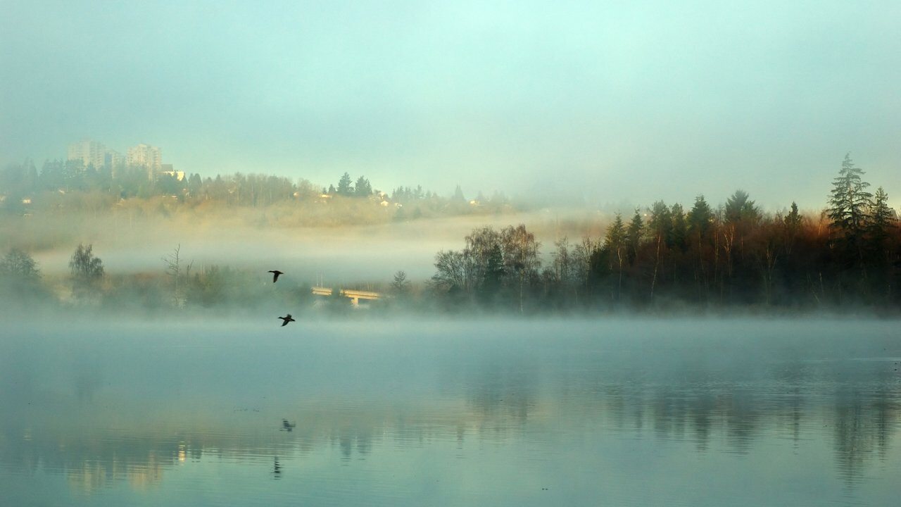 Deer Lake