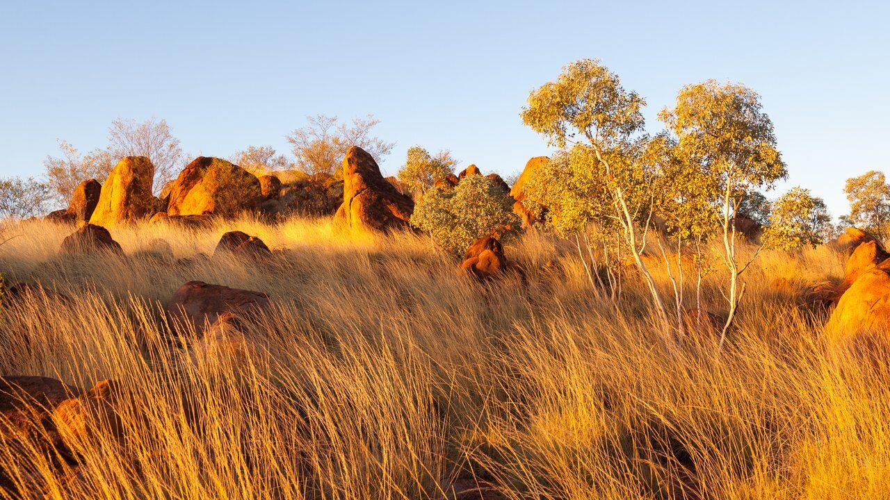 Tennant Creek
