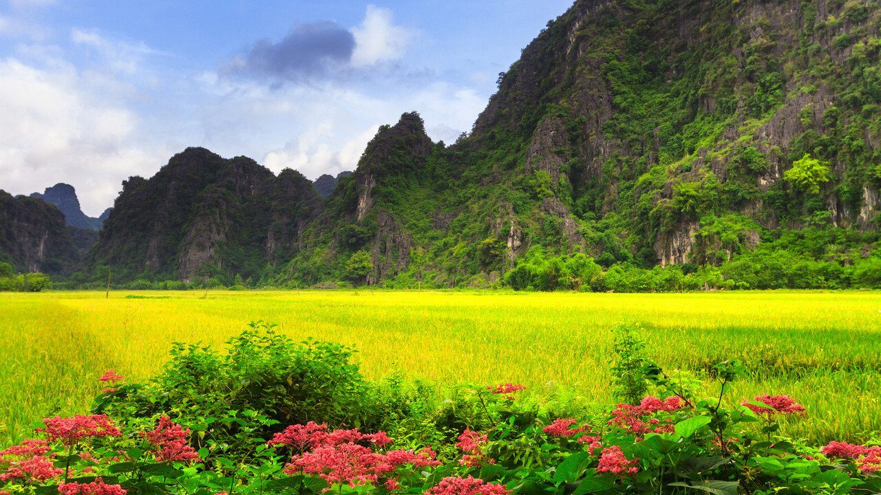 Đồng Hới