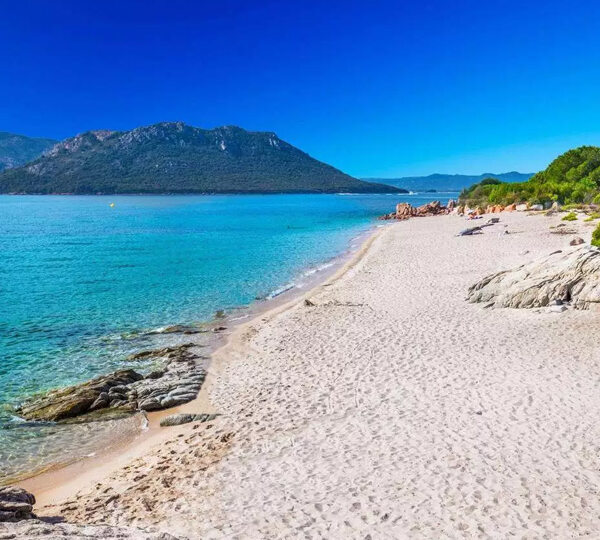 Figari