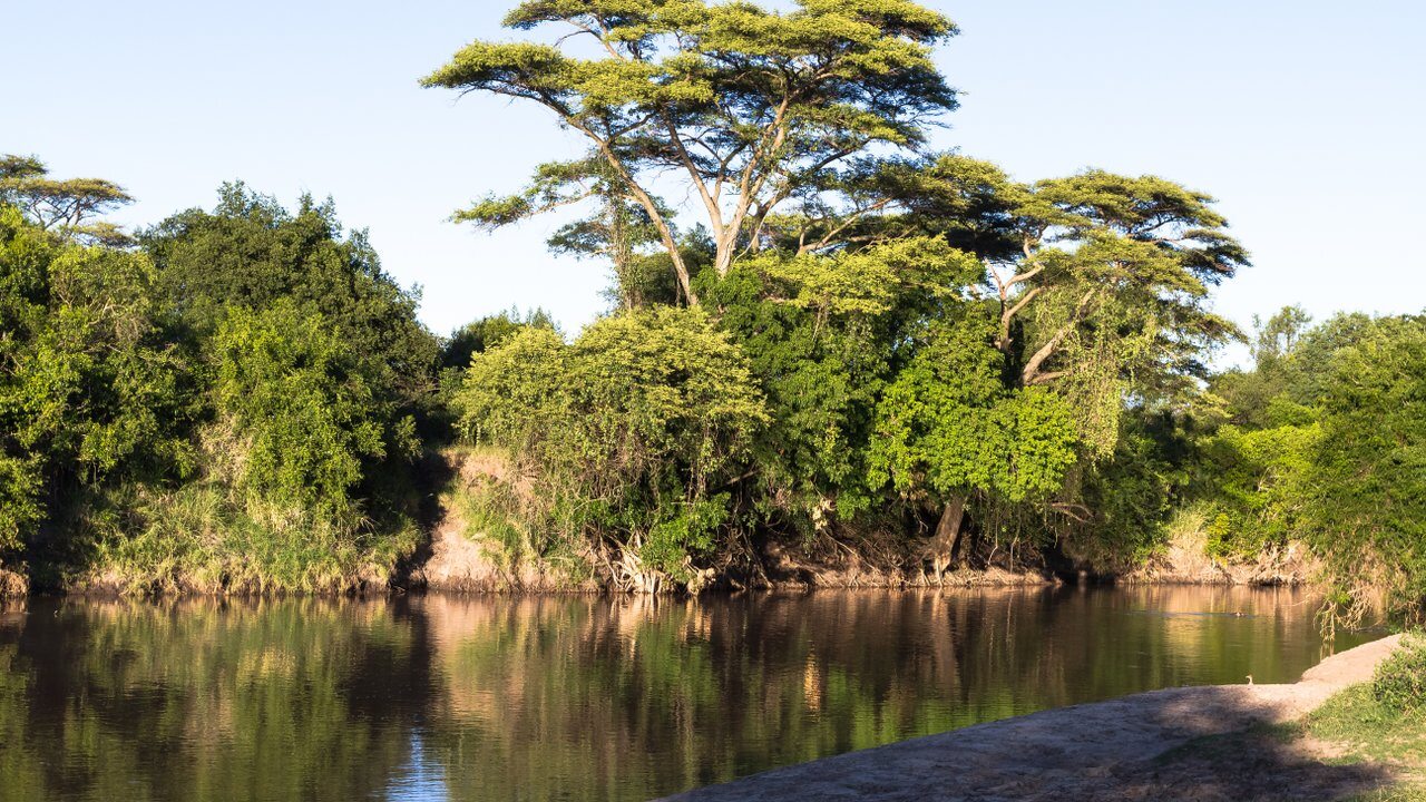 Grumeti Game Reserve