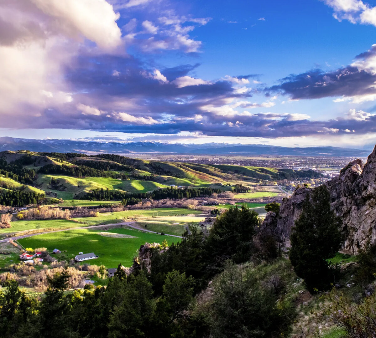 Bozeman