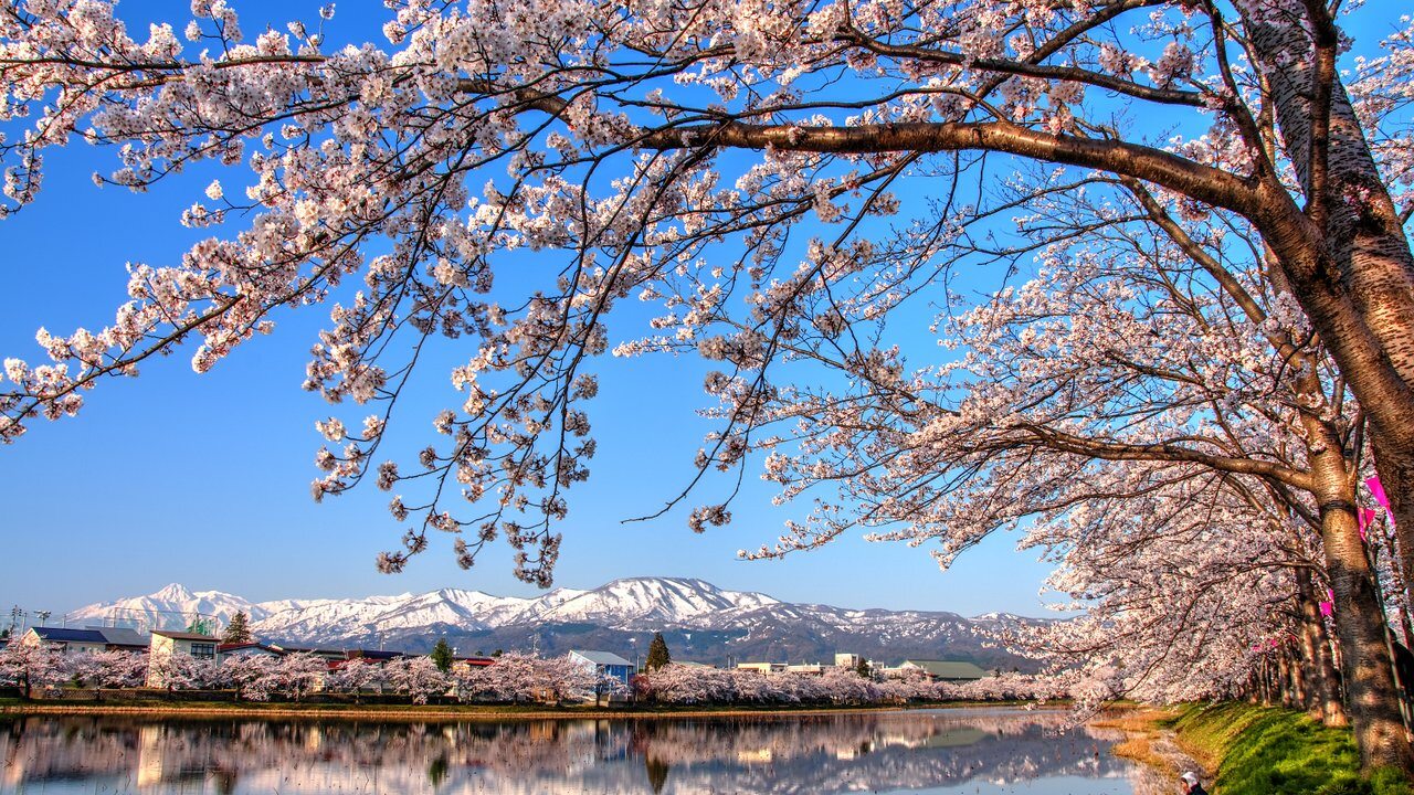 Niigata