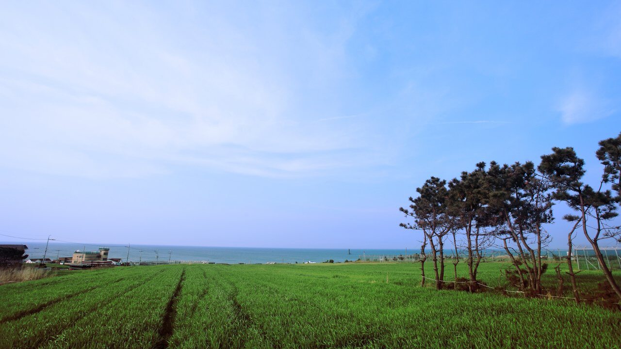 Pohang