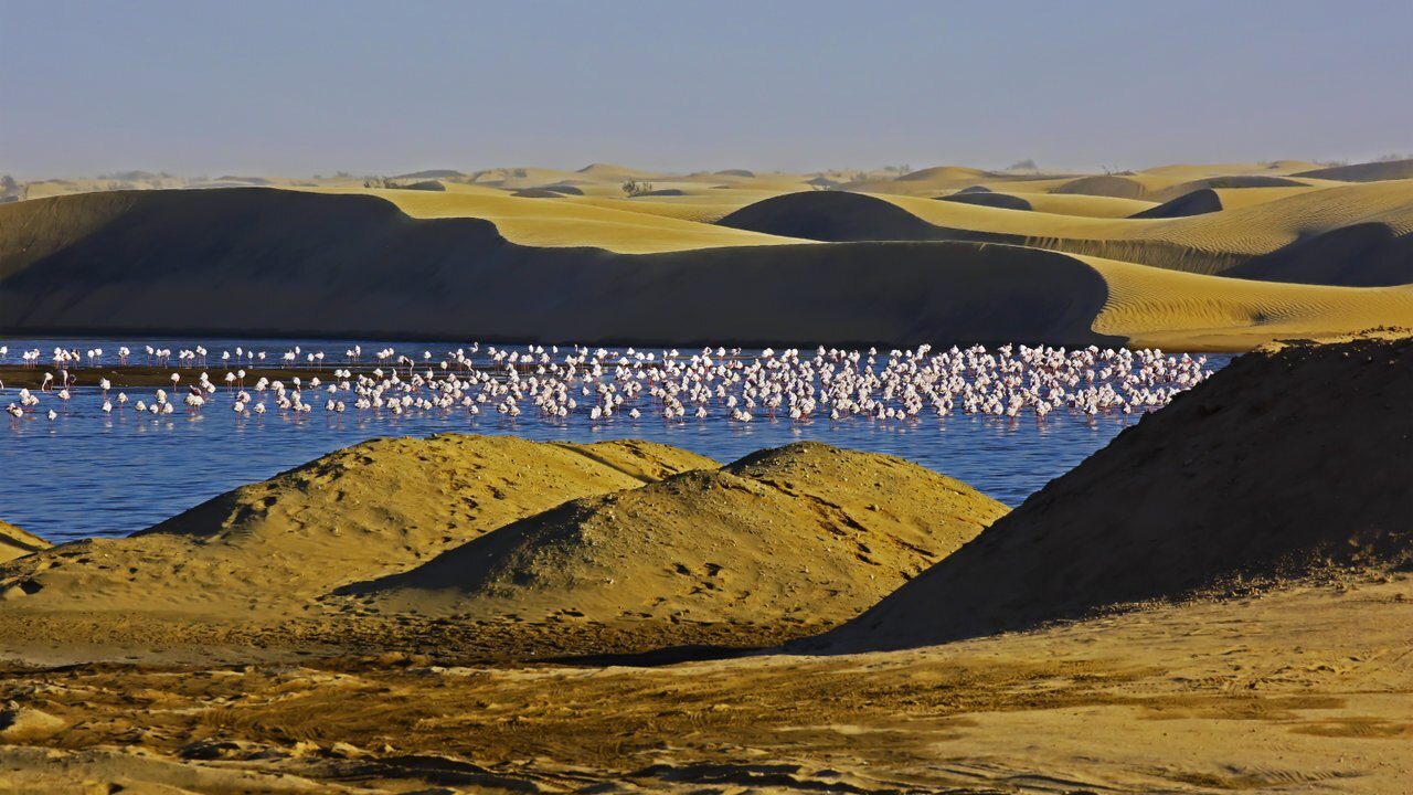 Walvis Bay