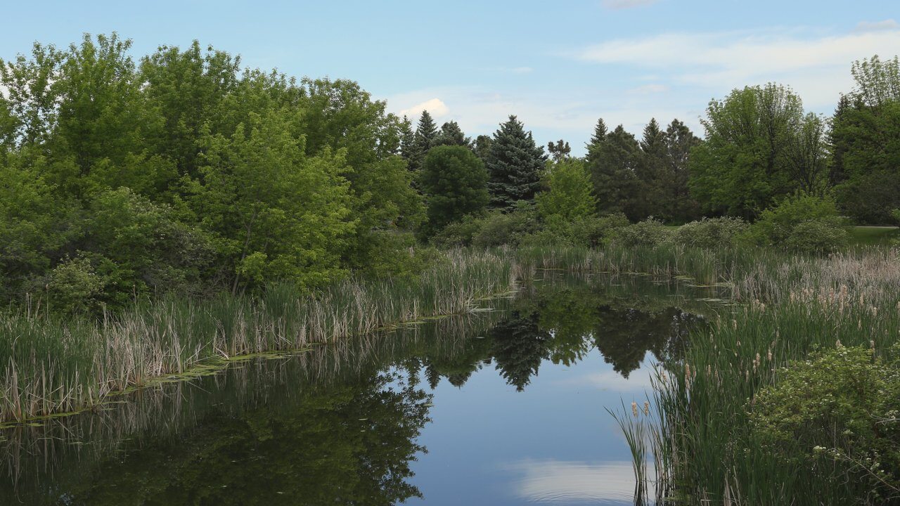 Grand Forks