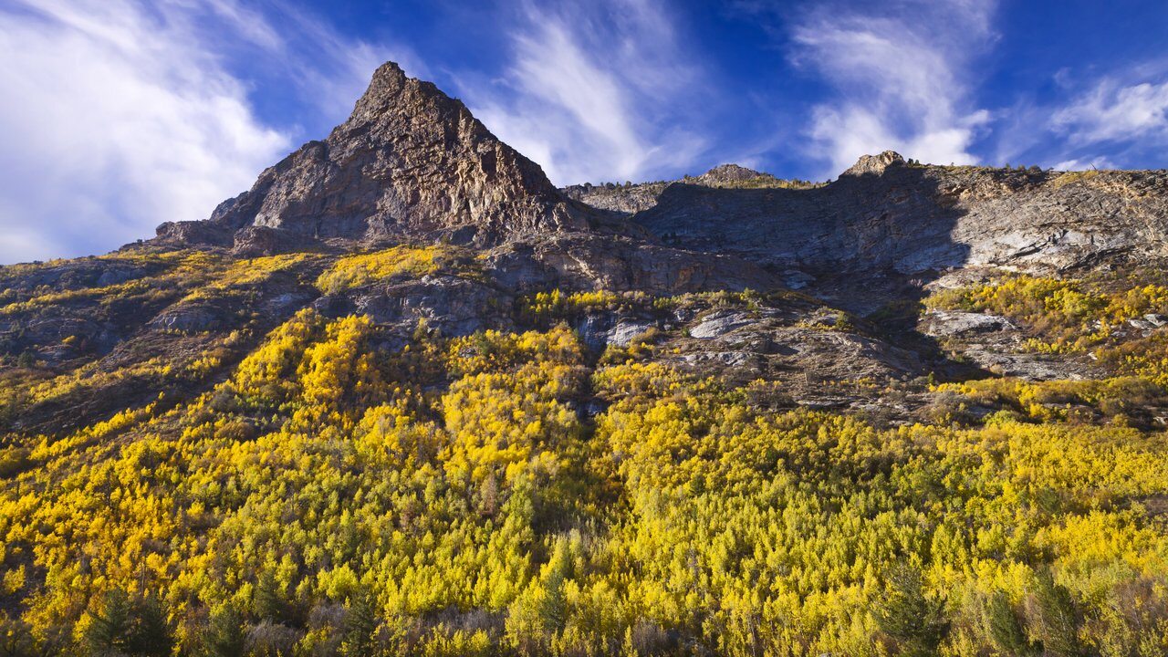Elko