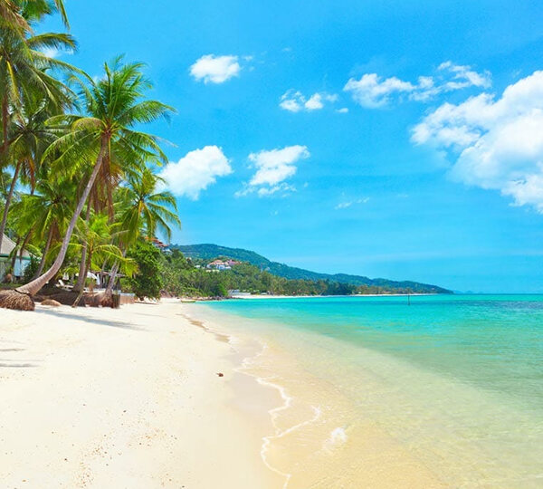 Provincia de Surat Thani