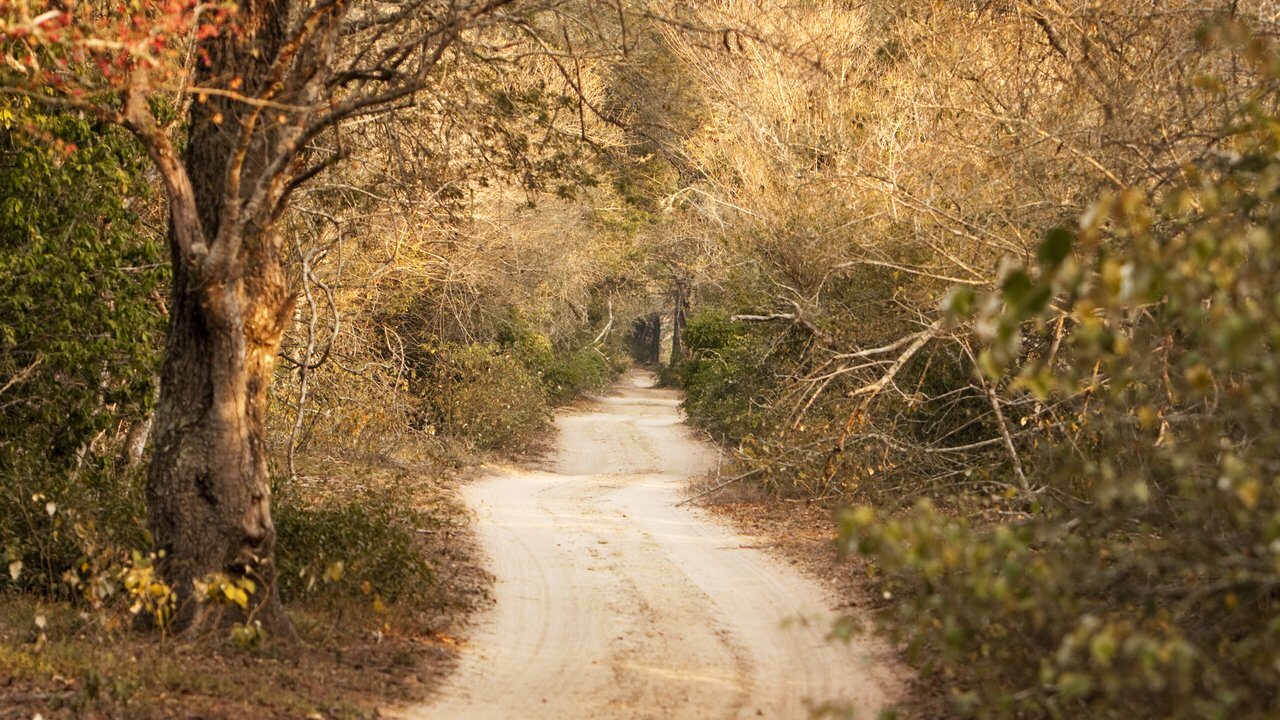 Phinda Private Game Reserve