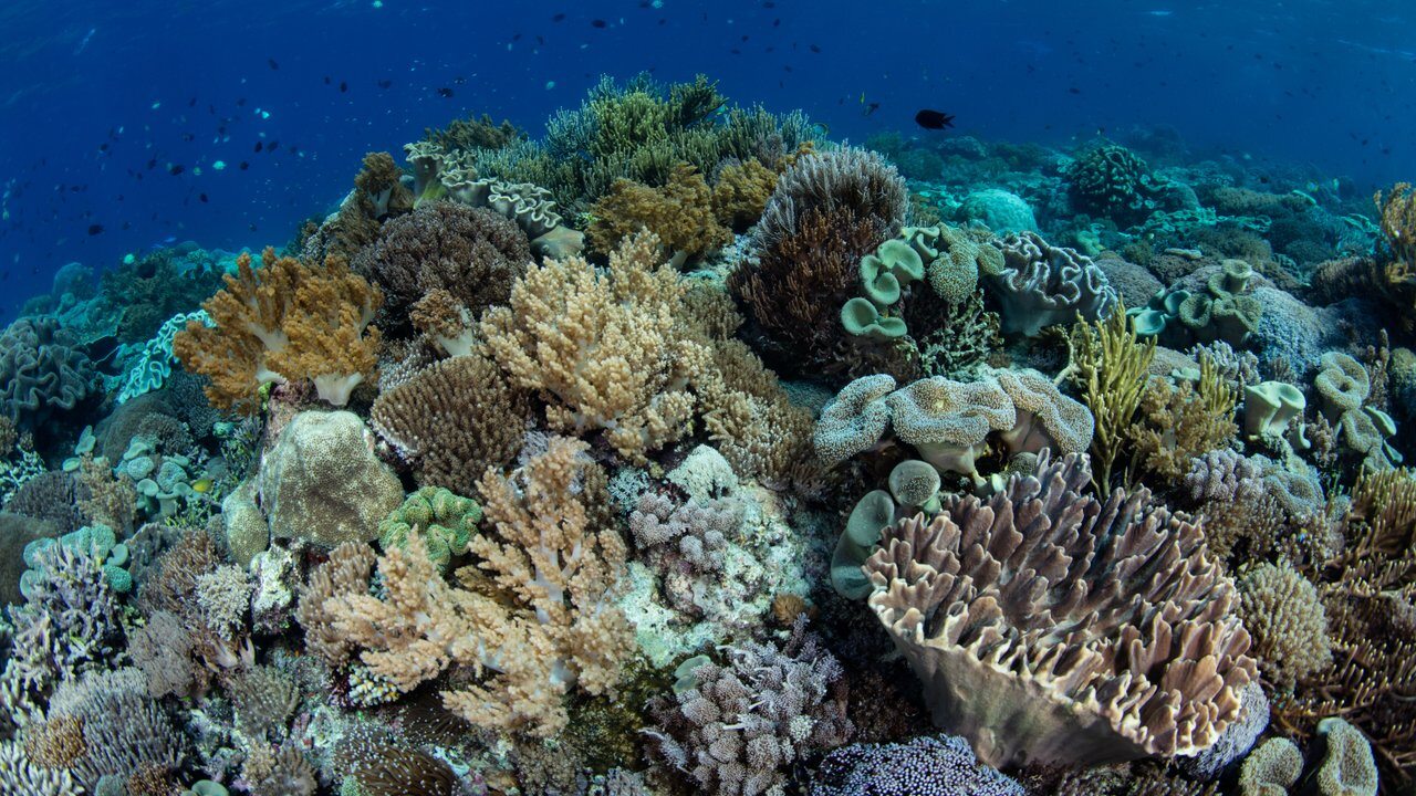 Coral Harbour